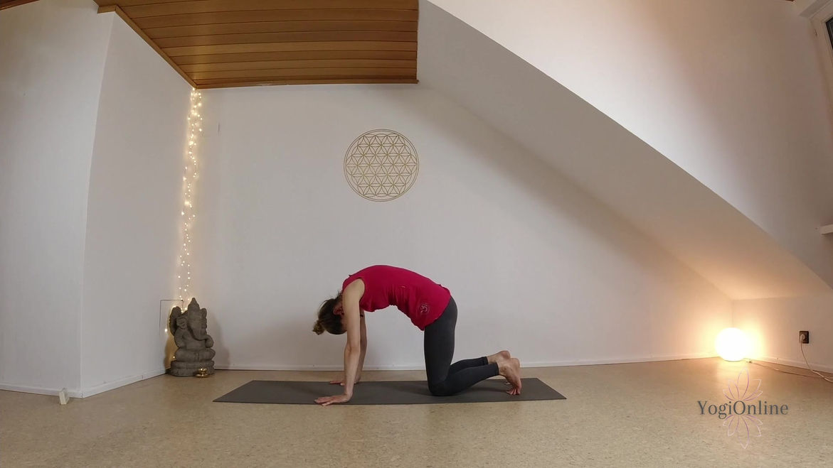 Therapeutisches Yoga Nr.1